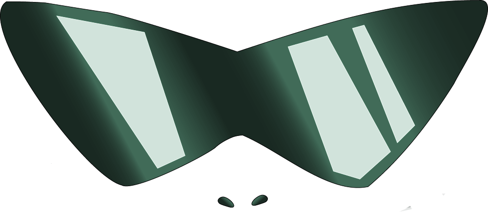 FAN Opticas logo